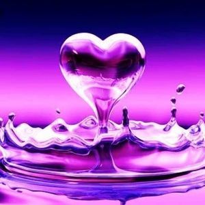 Meet your Posher, Dee